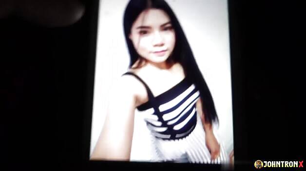 Chawchaw’s Pics