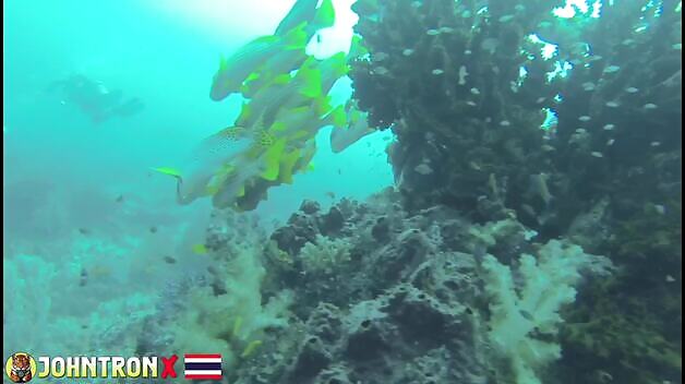 Scuba Diving
